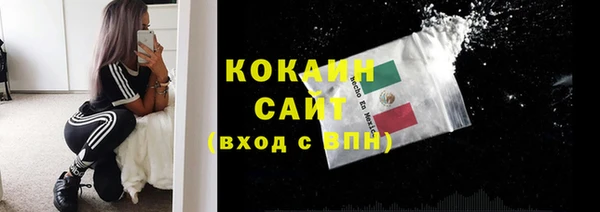 соль ск Бежецк