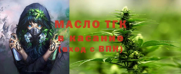 молекула духа Надым