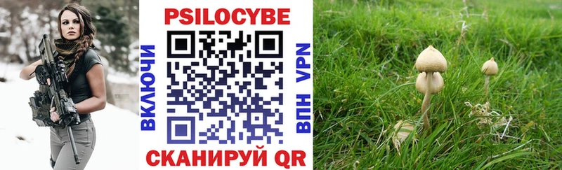 Псилоцибиновые грибы Magic Shrooms  где купить наркотик  kraken зеркало  Полесск 